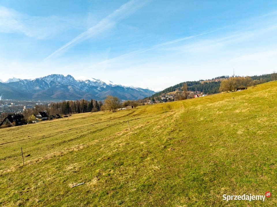 Działka Rolna Zakopane Zwijacze na stoku