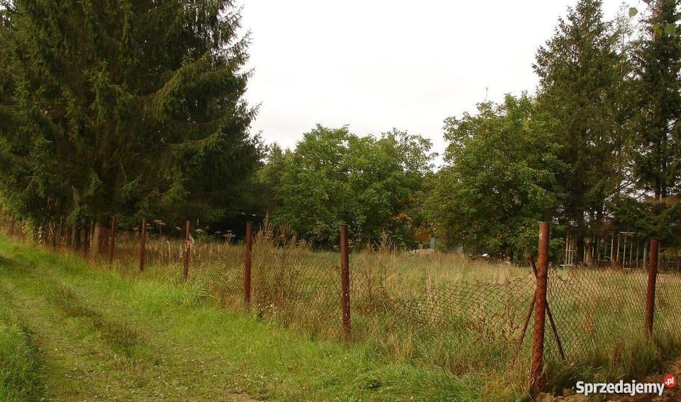 Działka Narwią rekreacyjno budowlana wędkarzy Pogorzelec