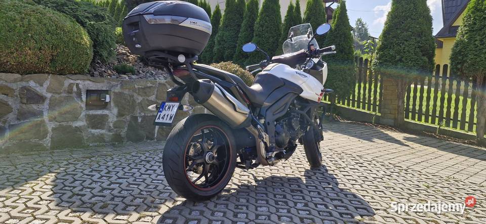 Triumph Tiger Sport Lubień