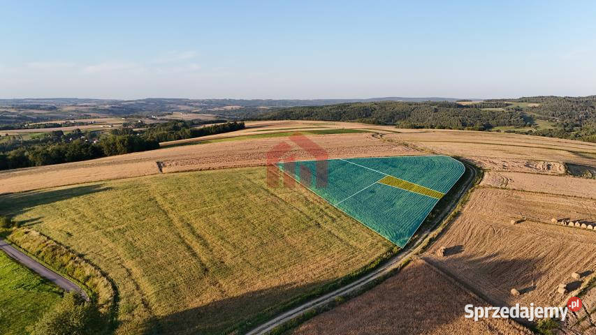 sprzedaży gruntu 3000m2 Brzeziny asfalt Sprzedaż