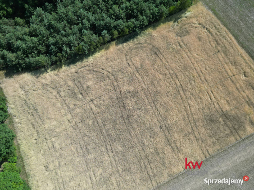 Grunt Jerominy 3702m2 Sprzedaż