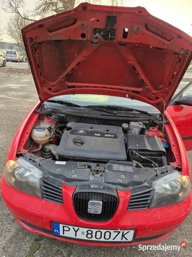 Seat Ibiza 14 16V 75 2003 r przebieg 78507 Poznań