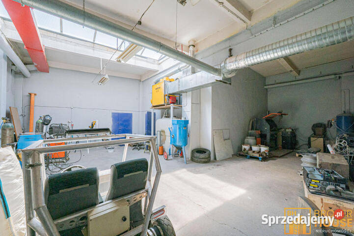Lokal wynajmę Opole 350m2
