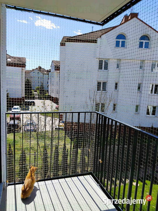 Założenie siatki na balkon Warszawa Siatka Kota Pozostałe mazowieckie