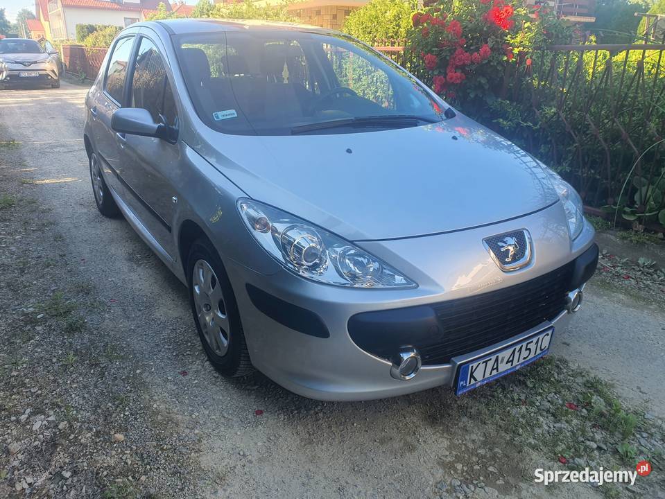 PEUGEOT 307 14 BENZYNA 2006 ASR (kontrola trakcji) Łęg Tarnowski