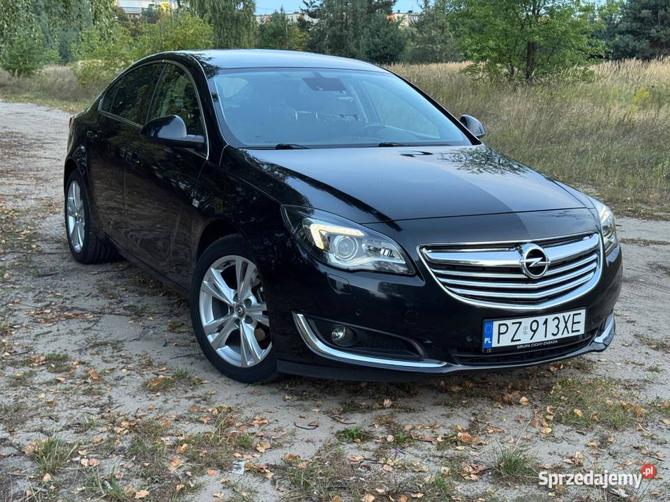 Opel Insignia A lifting Dąbrówka Wielka