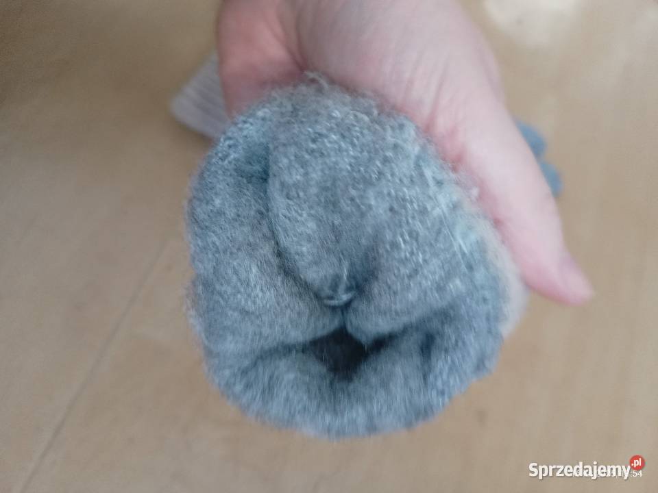 Rękawiczki damskie zimowe ocieplane Golove NLD Dla kobiet zachodniopomorskie Szczecin