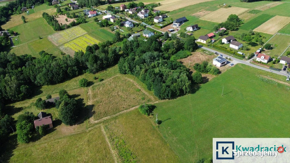 Grunt Korczyna 8208m2 sprzedam