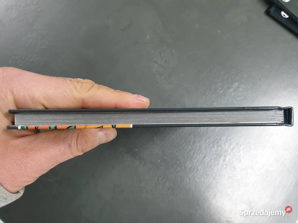 Amerykańska Liga Sprawiedliwości JLA Gwóźdź Gdynia