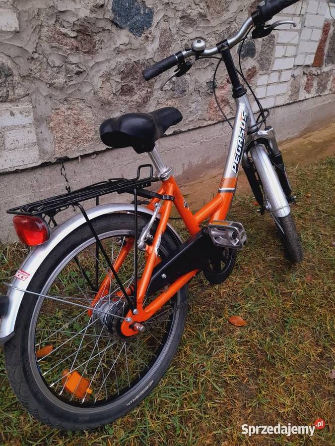 Pegasus 20 nexus 7 Pisz