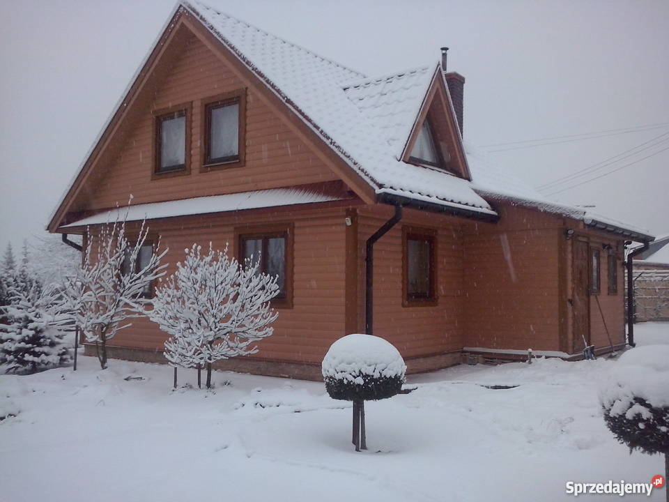 Kanadyjczyk sprzedam