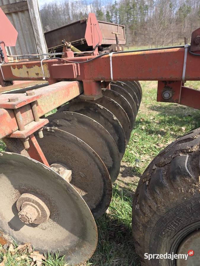 Talerzówka brix 28m Załakowo