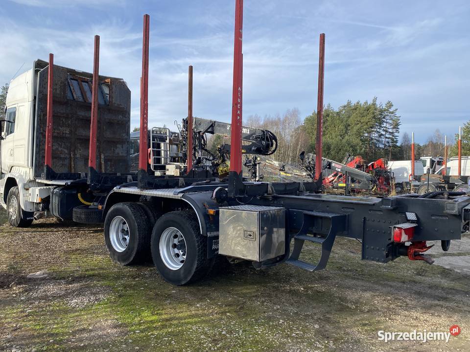 Do drzewa drewna lasu Biłgoraj