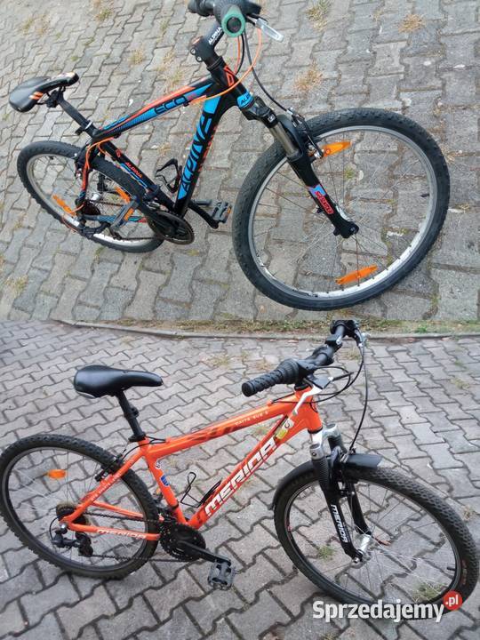 Kolekcjionerskie rzeczy starociewykopki z chaty Sosnowiec