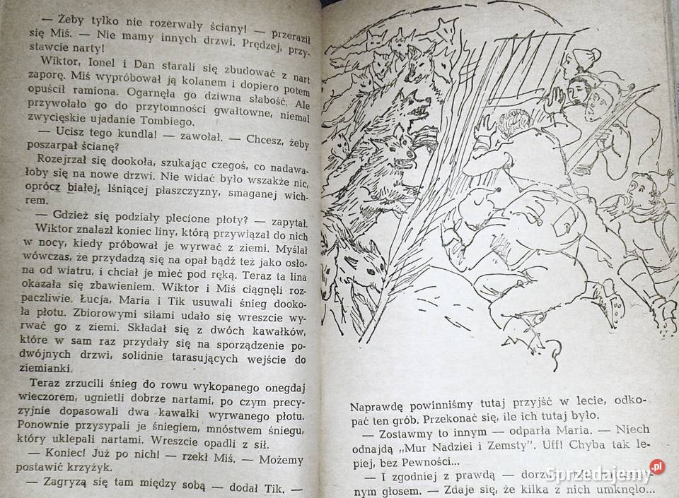 Śnieżne skrzydła Constantin Chiri lubelskie Chełm