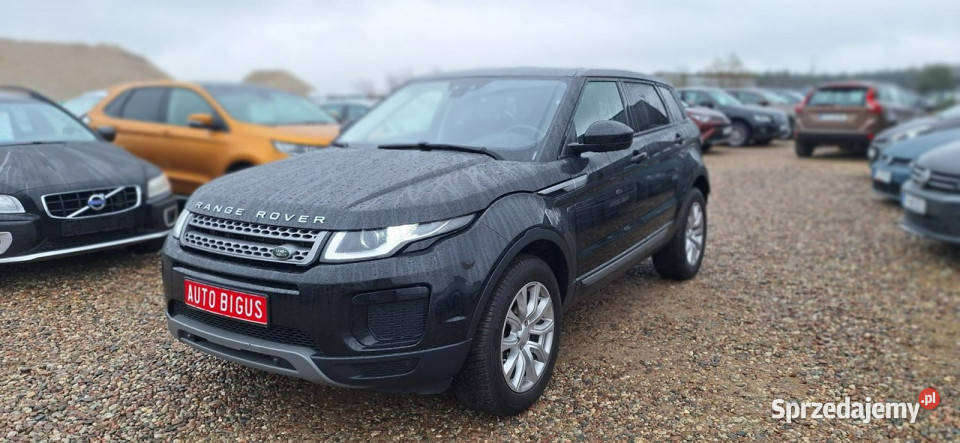Land Rover Range Rover Evoque nowy duza navi Lębork