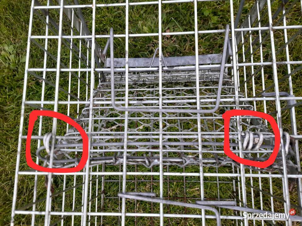 Żywołapka pułapka klatka na kuny łasice dzikie Morąg