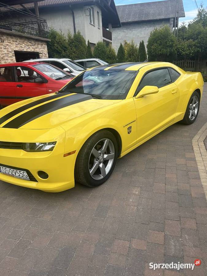 Camaro 36V Camaro Zator