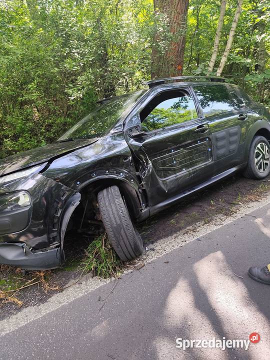 Citroen C4 Cactus kurtyny powietrzne małopolskie