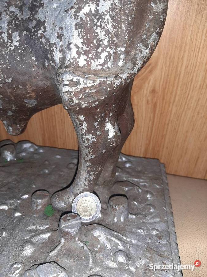 Żubr gigant Bielsko-Biała