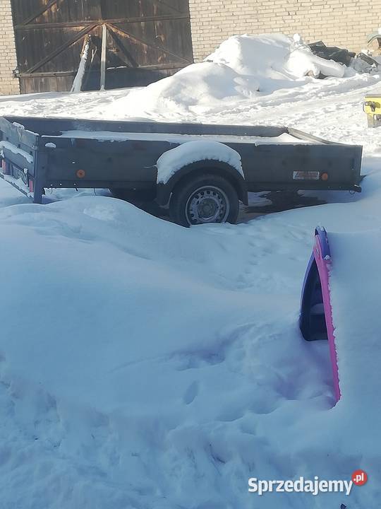 Przyczepka Neptun Ełk