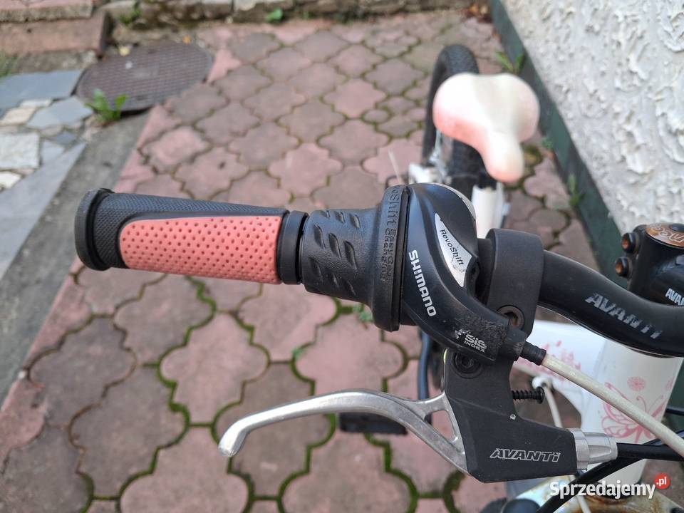 Rower dziecięcy 20 20" Zamość sprzedam