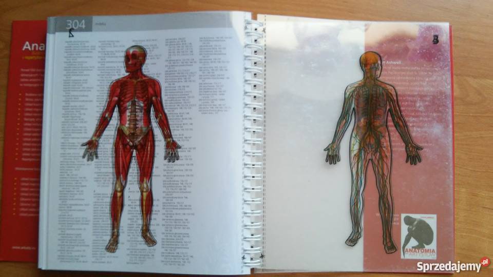 Anatomia Ilustrowany słownik i repetytorium sprzedam