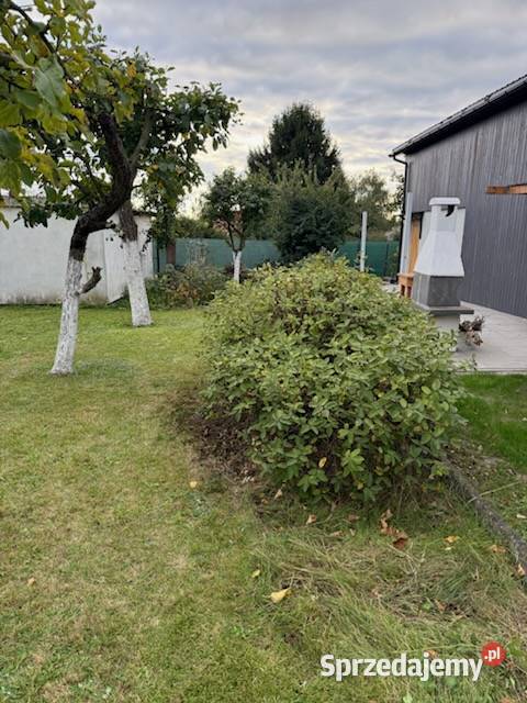 DZIAŁKA ROD jezioro Sprzedam Śrem