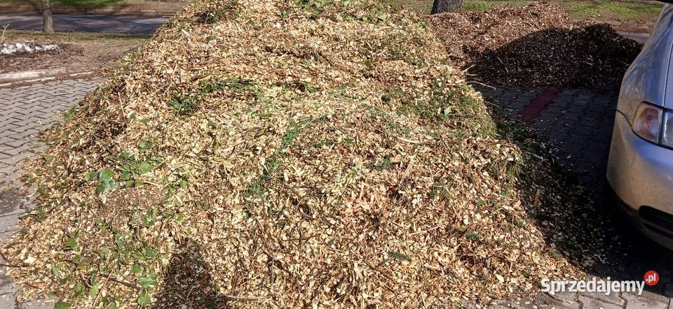 Glebogryzarka Wycinka drzewi rębak działki ROD Lublin