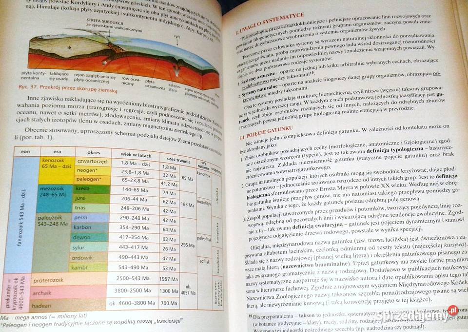 Podstawy ewolucjonizmu Jacek Balerstet Chełm