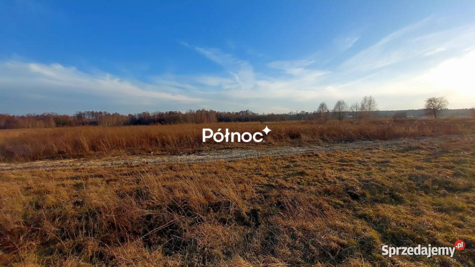 Urokliwa działka w ŁuckaKolonia na sprzedaż Łucka-Kolonia