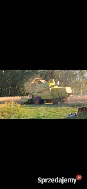 Claas Mercator Mercedes Kombajny małopolskie Niepołomice