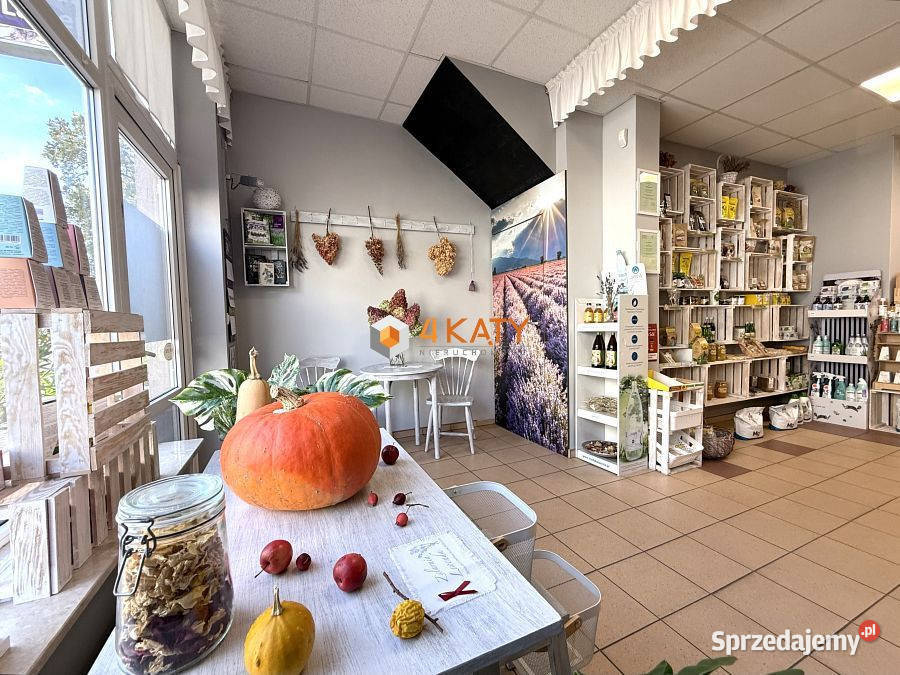 Lokal Zielona Góra 180m2