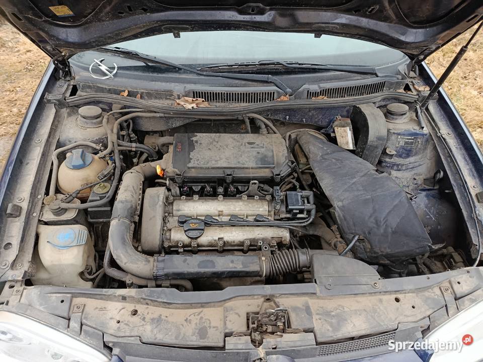 Volkswagen Golf IV 14 55 kW 1999 r dawca części Szklarka Myślniewska