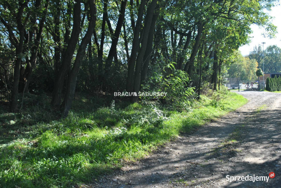 Działka 9100m2 Gdów