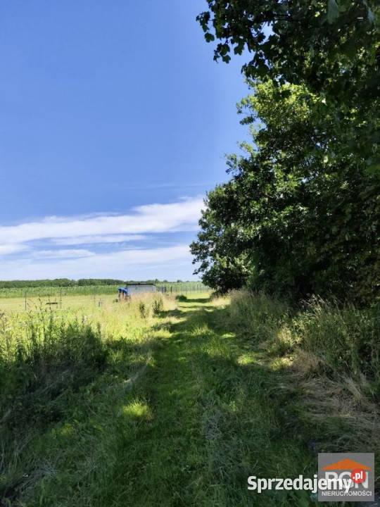 Działka na sprzedaż 3072m2 Rewal 3072m2
