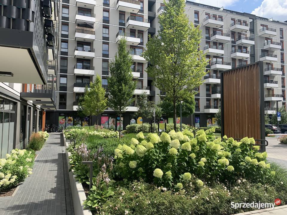 Dwa osobne nieprzechodnie pokoje balkon szybki Piętro 2 Mieszkania Warszawa