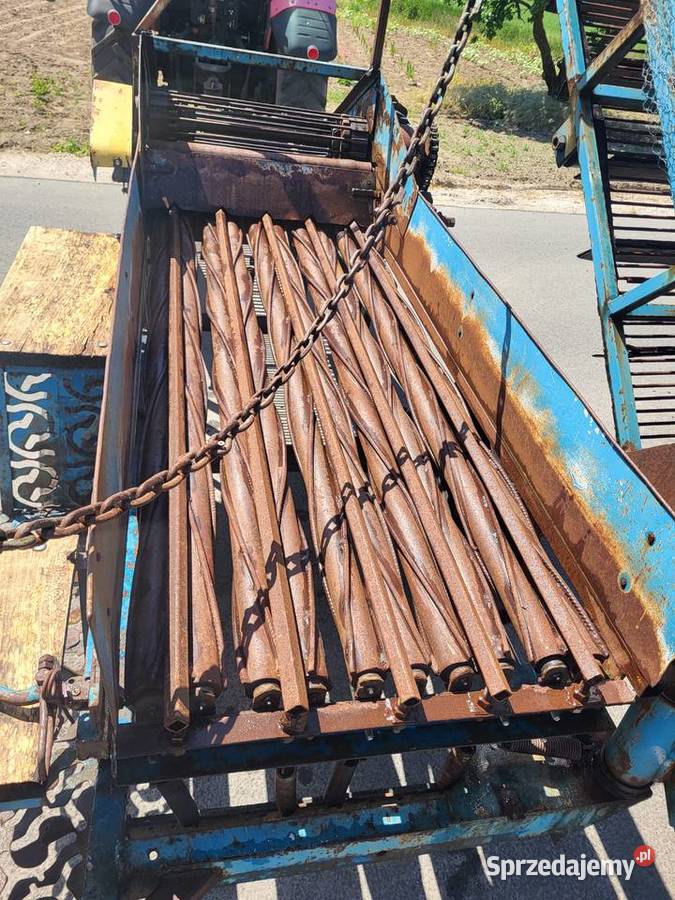 Kombajn zbieracz do cebuli Krukowiak Anna Osięciny