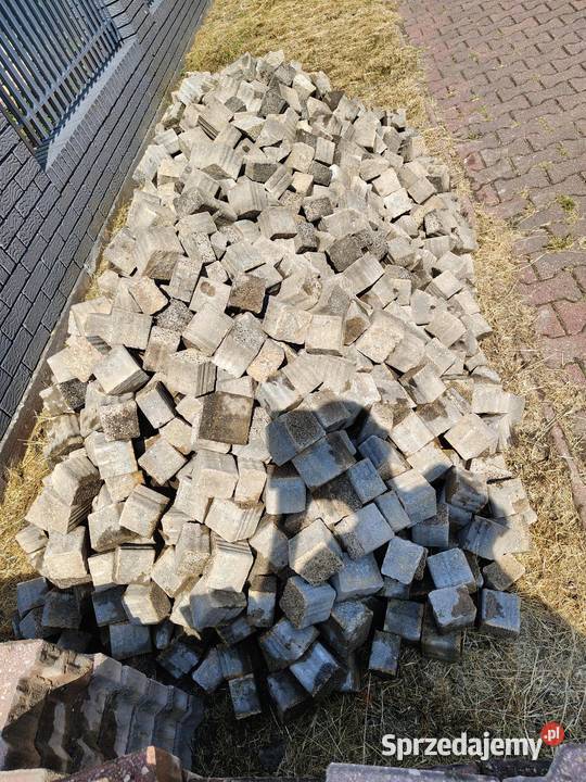 Kostka brukowa z kamyszkiem Gniezno