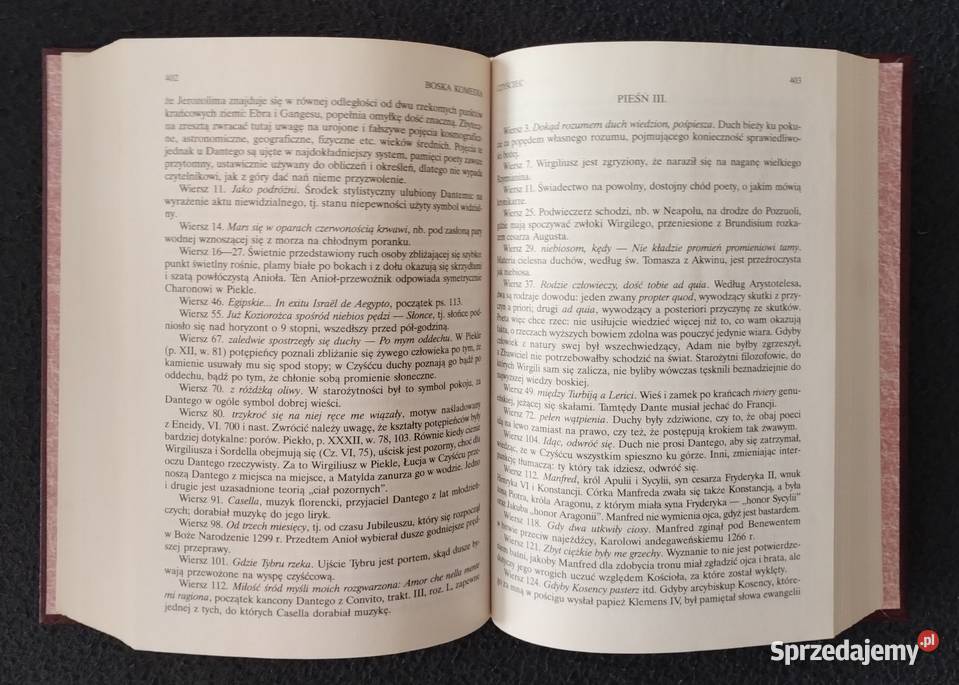 Boska Komedia Dante Alighieri