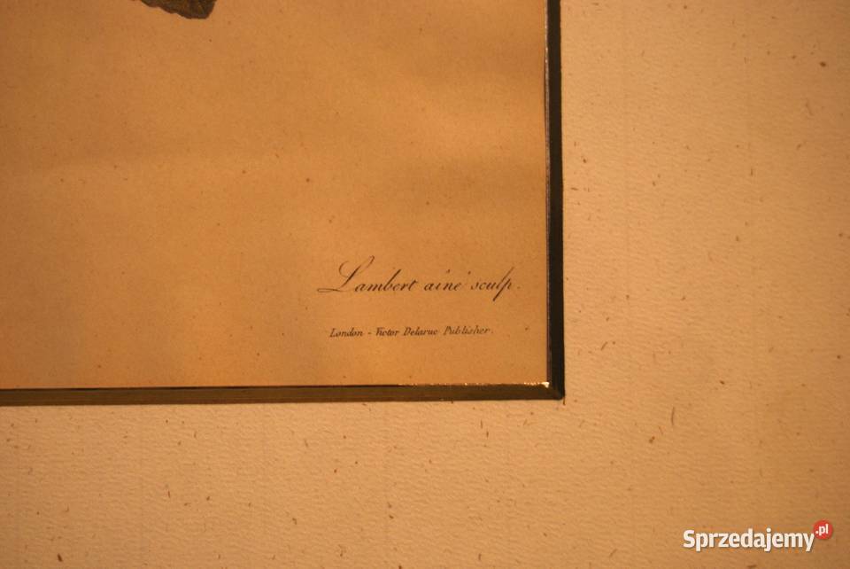 BESSA Pancrace akwatintowa rycina z owocem Antyki, Sztuka, Kolekcje Poznań