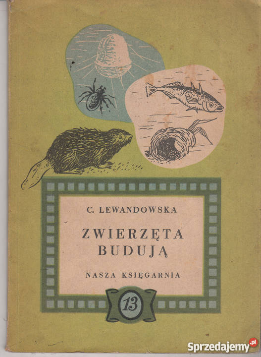 02310 ZWIERZĘTA BUDUJĄ CECYLIA LEWANDOWSKA