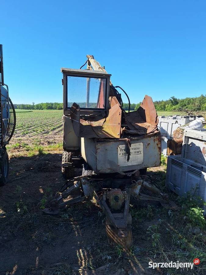 Spezedan Cyklop Pozostałe Gałązki Małe