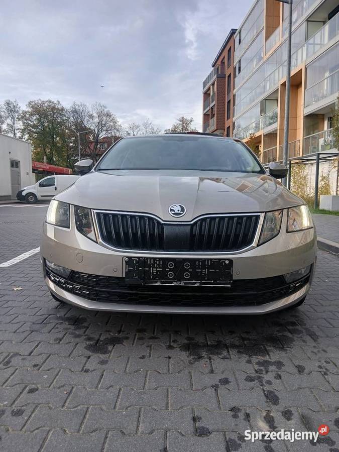 Skoda octavia 2019 DSG 16 TDI