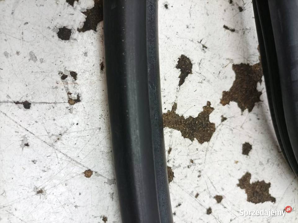 USZCZELKA DRZWI KAROSERYJNA PRAWY TYŁ E16 E17