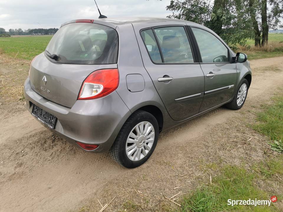 Renault Clio wielkopolskie