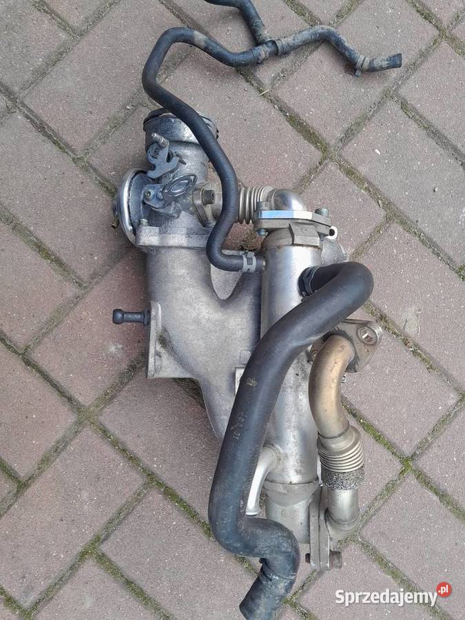 Sprzedam zawor egr z chlodnica i kolektorem seat Krosno