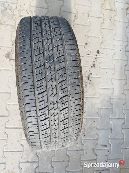Advanta SVT01 24555r19 ms Staw