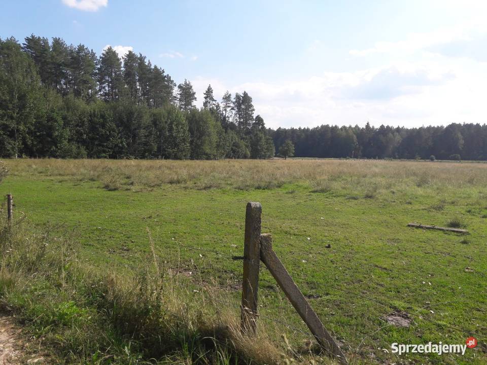 Dzialka rolna z warunkami zabudowy prąd podlaskie