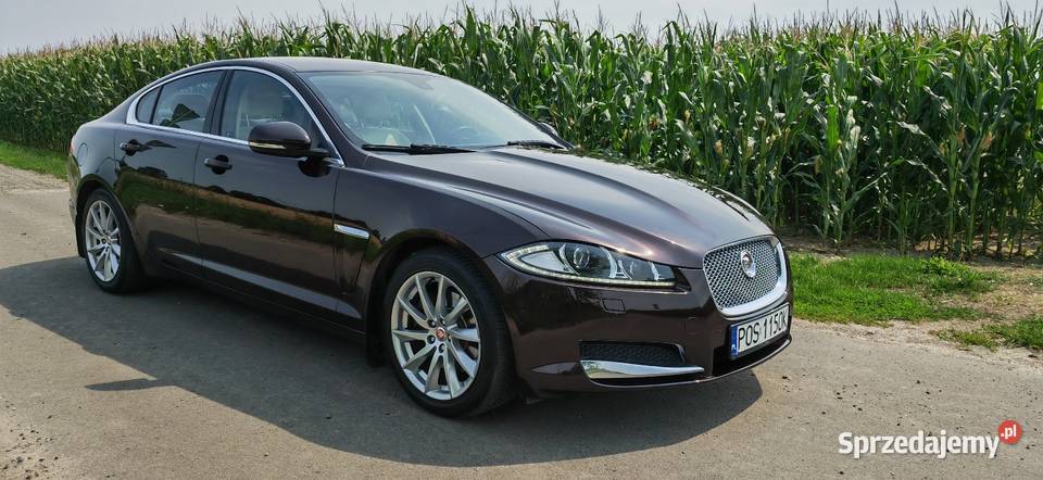 Jaguar XF 22 Diesel Rok produkcji 2014 Ostrów Wielkopolski